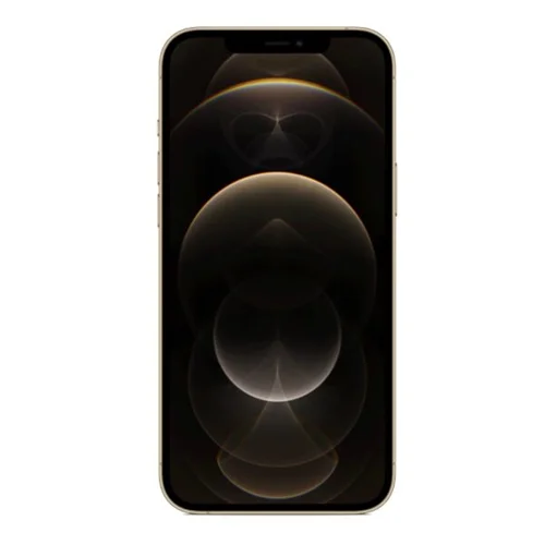 گوشی موبایل اپل مدل iPhone 12 Pro Max ظرفیت 256گیگابایت 1 سیم